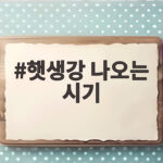 햇생강 나오는 시기 언제일까 이번 가을 제철 생강 만나는 법 햇생강 나오는 시기