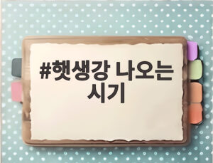 햇생강 나오는 시기