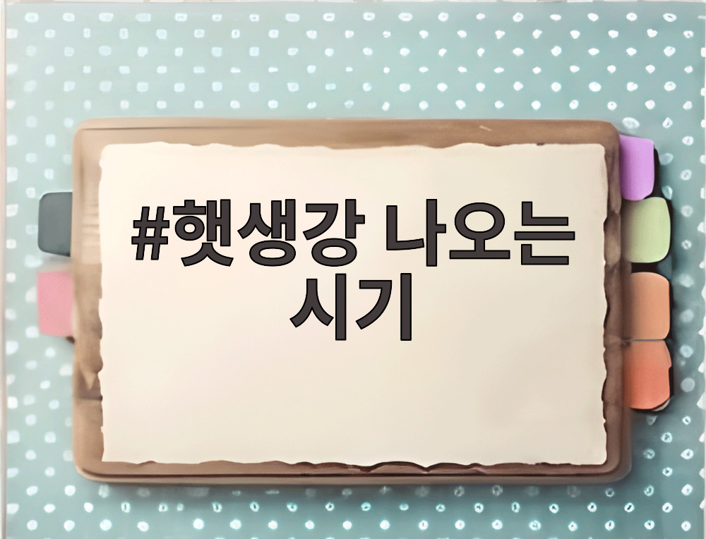 햇생강 나오는 시기