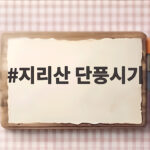 지리산 단풍시기 언제가 좋을까 2026 절정 일정 총정리 지리산 단풍시기