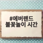 에버랜드 불꽃놀이 시간 완벽 정리 명당 자리와 관람 팁까지 에버랜드 불꽃놀이 시간