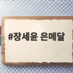 장세윤 은메달 세계랭킹 41위 반란의 주인공 52㎏급 값진 성과 장세윤 은메달