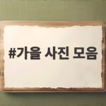 가을 사진 모음으로 감성 가득한 휴대폰 배경화면 준비하세요 가을 사진 모음