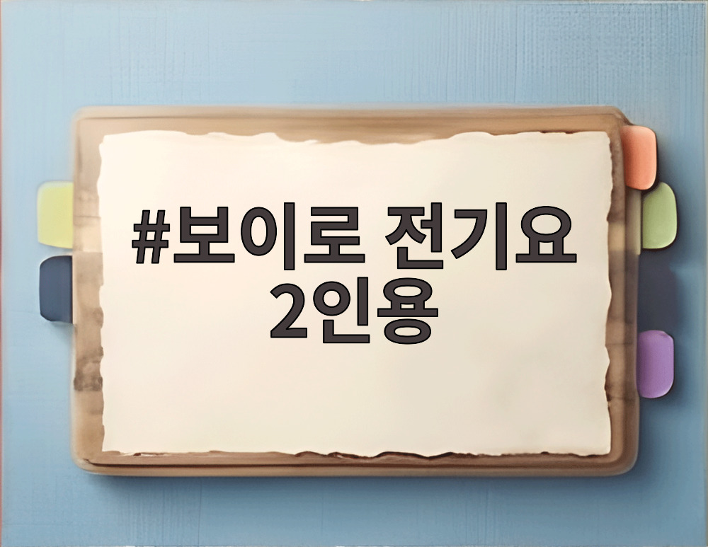보이로 전기요 2인용
