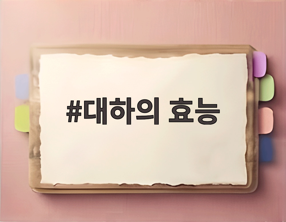 대하의 효능