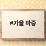 가을 마중 나들이 높아진 하늘과 선선한 바람을 즐기는 법 가을 마중