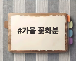 가을 꽃화분