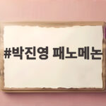 박진영 패노메논 특혜 논란 국감에서 직접 해명한 내용 총정리 박진영 패노메논
