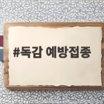 독감 예방접종 시기와 무료 대상 2026년 겨울 대비 총정리 독감 예방접종