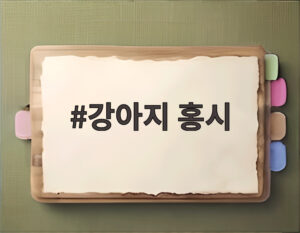 강아지 홍시