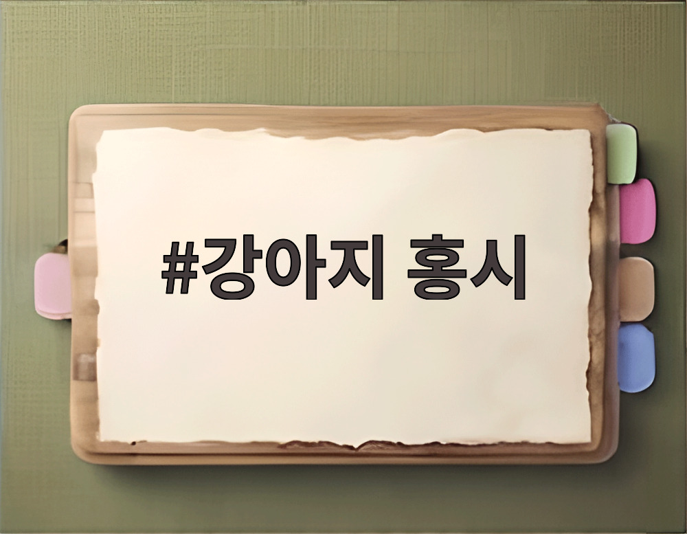 강아지 홍시