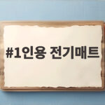 1인용 전기매트 하나면 침대에 들어가는 순간이 달라져요 1인용 전기매트