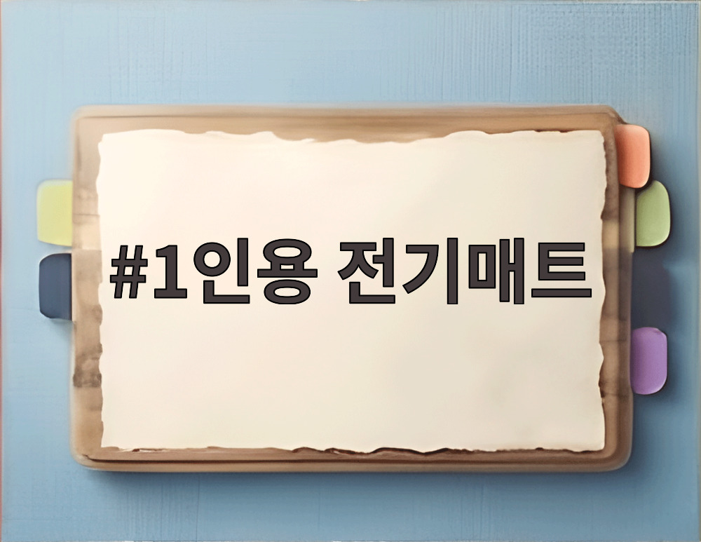 1인용 전기매트
