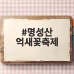 명성산 억새꽃축제 10월 16일부터 펼쳐지는 은빛 물결을 만나러 떠나보세요 명성산 억새꽃축제