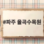 파주 율곡수목원 10월 구절초 만개 시기와 밤줍기 가을 나들이 파주 율곡수목원