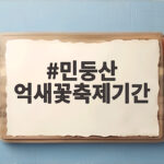 민둥산 억새꽃축제기간 언제가 좋을까 2026 정선 축제 일정과 절정 시기 민둥산 억새꽃축제기간