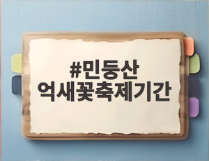 민둥산 억새꽃축제기간