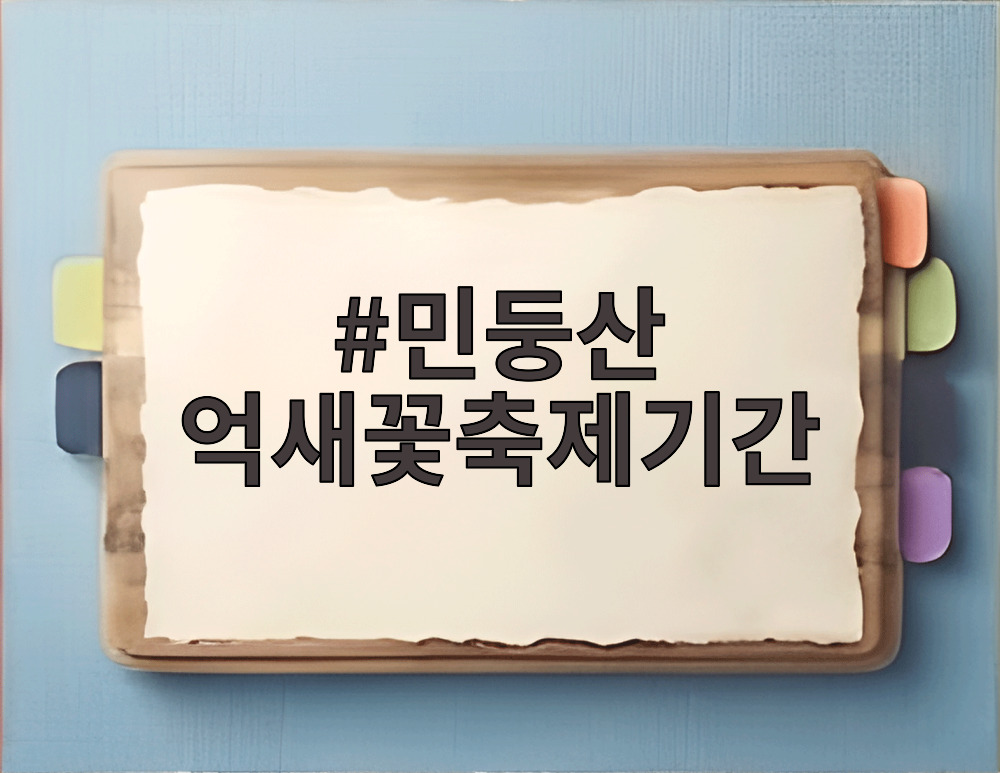 민둥산 억새꽃축제기간
