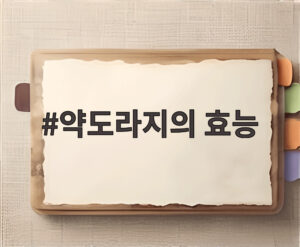 약도라지의 효능