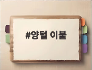 양털 이불