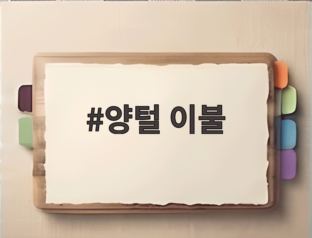 양털 이불