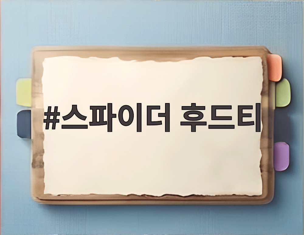 스파이더 후드티