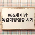 65세 이상 독감예방접종 시기 놓치지 말고 미리 챙겨드리세요 65세 이상 독감예방접종 시기