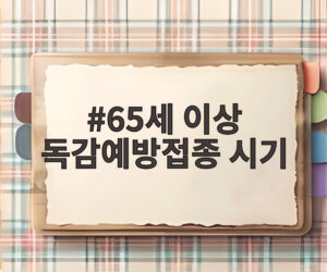 65세 이상 독감예방접종 시기