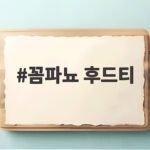 꼼파뇨 후드티