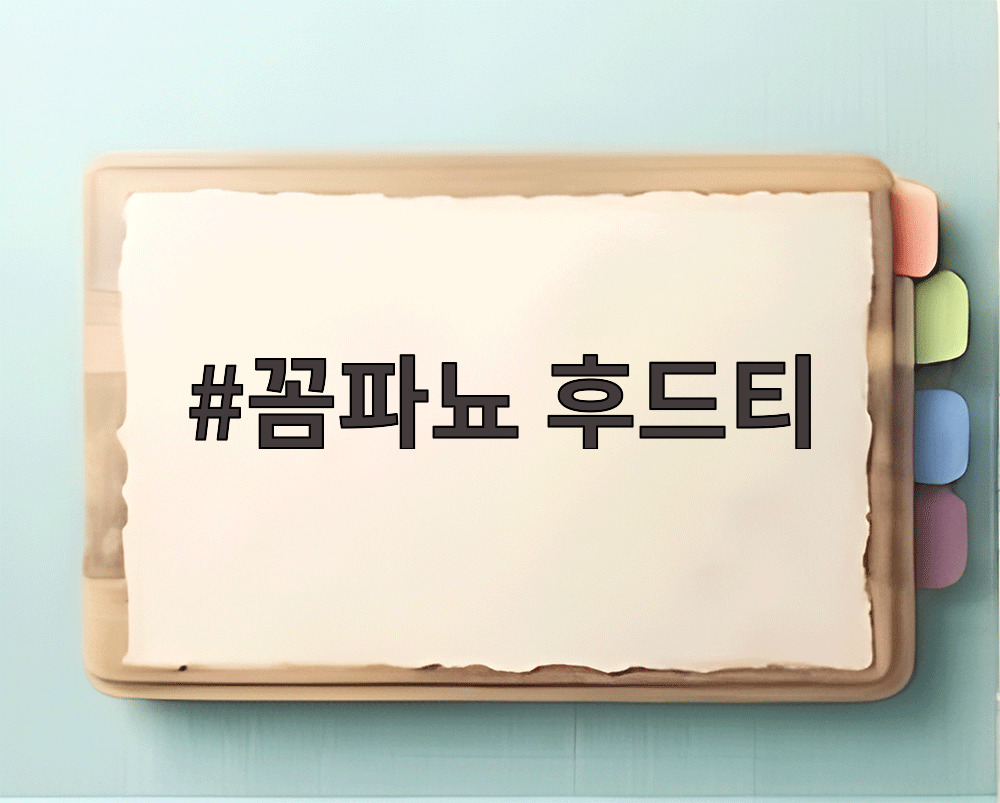 꼼파뇨 후드티