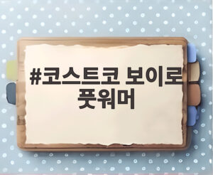 코스트코 보이로 풋워머