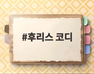 후리스 코디