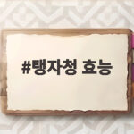 탱자청 효능 제대로 알고 마시는 법과 주의사항까지 탱자청 효능