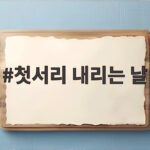 첫서리 내리는 날 2026년 예상 시기와 텃밭 준비법 미리 확인하세요 첫서리 내리는 날