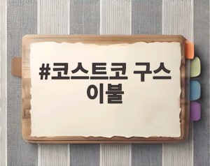 코스트코 구스 이불
