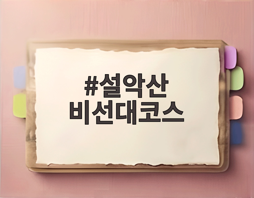 설악산 비선대코스