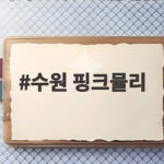 수원 핑크뮬리 10월 절정 명소와 밤빛정원 야간 산책 일정 수원 핑크뮬리