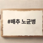 배추 노균병