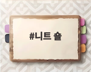 니트 숄