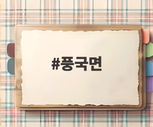 풍국면
