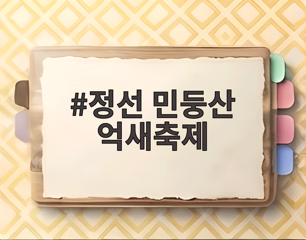 정선 민둥산 억새축제