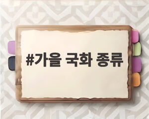가을 국화 종류