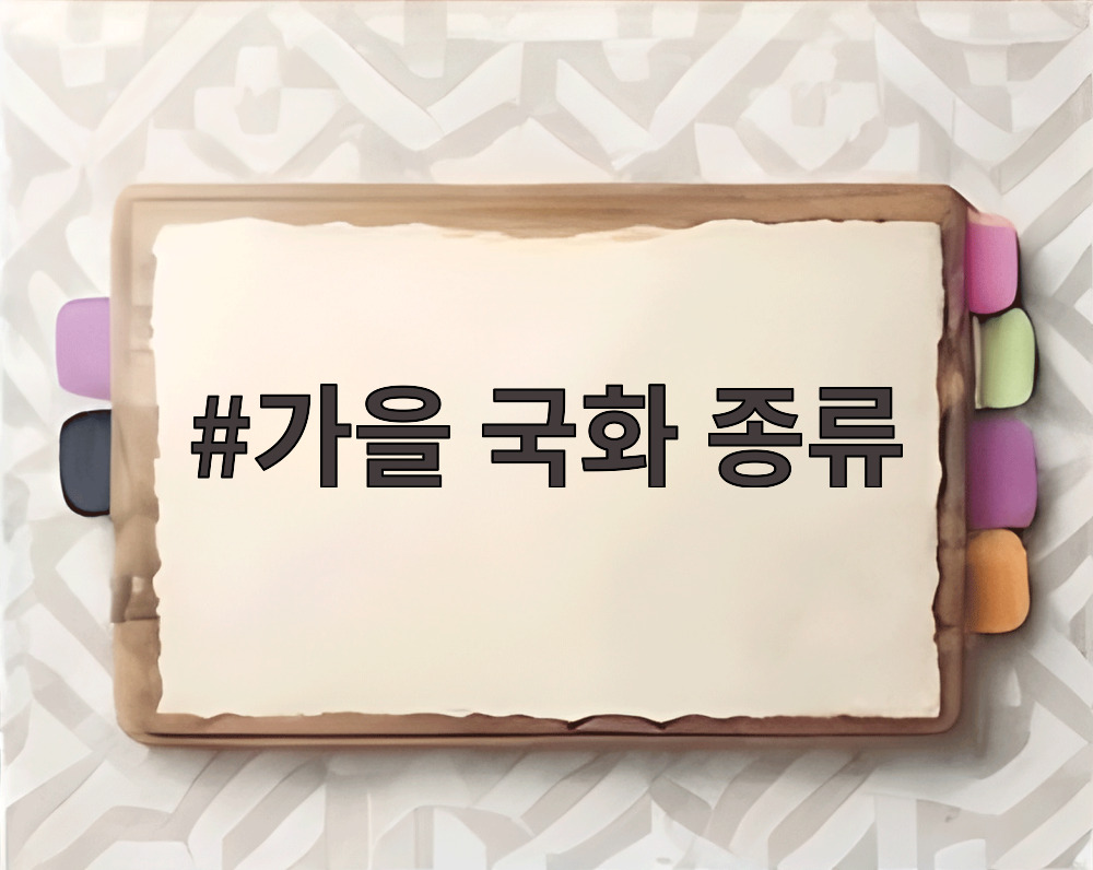 가을 국화 종류
