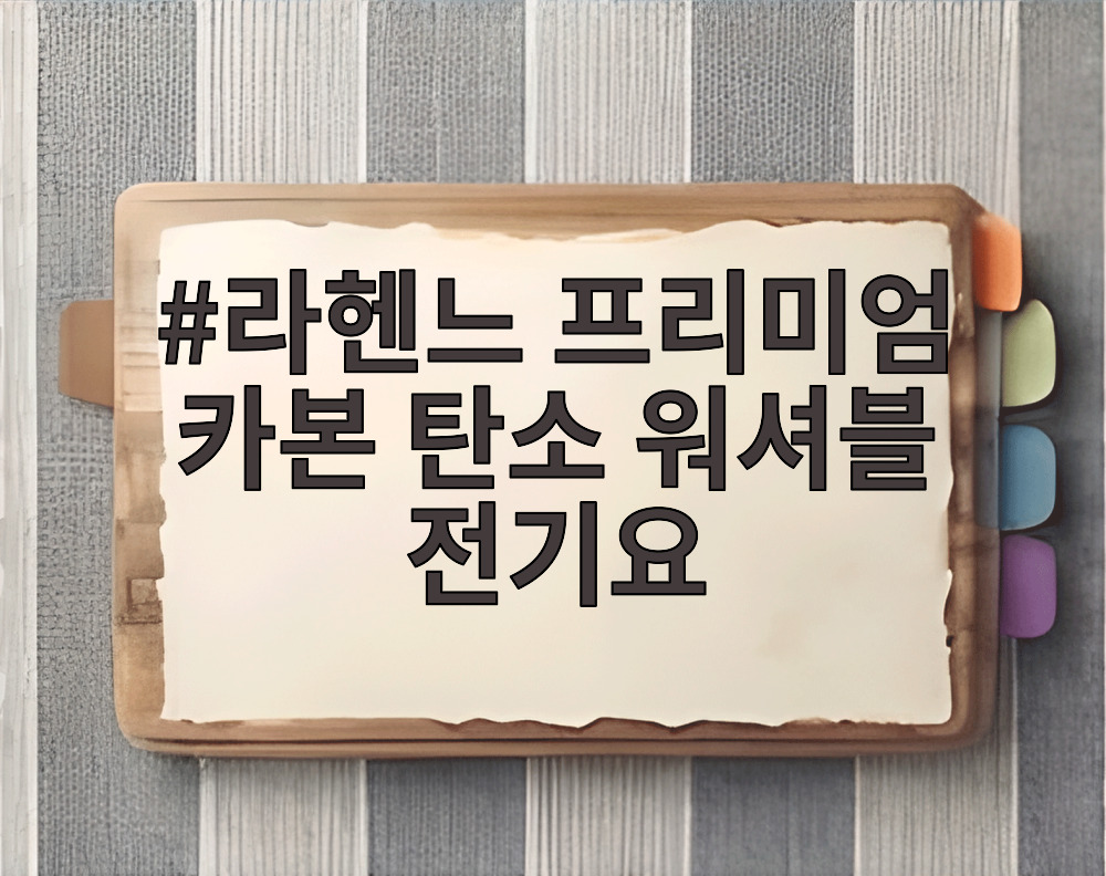 라헨느 프리미엄 카본 탄소 워셔블 전기요