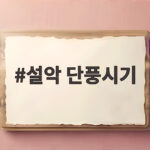 설악 단풍시기 10월 언제 가야 가장 화려할까 설악 단풍시기