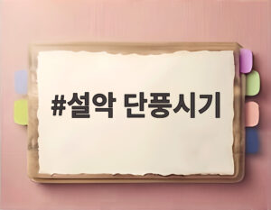 설악 단풍시기