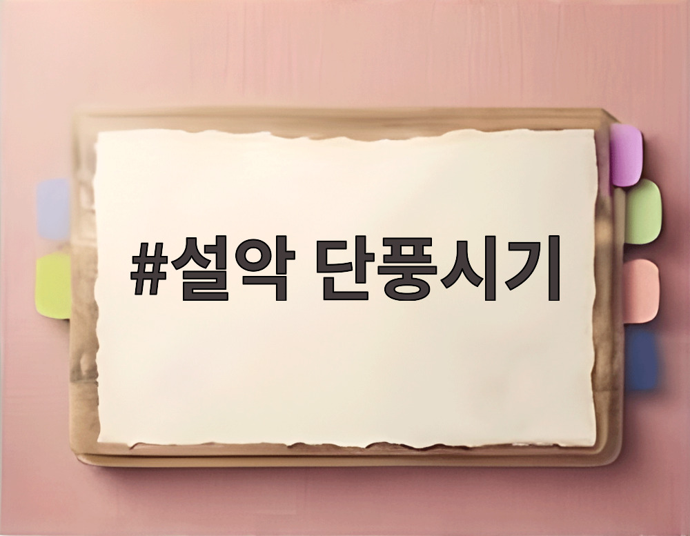 설악 단풍시기