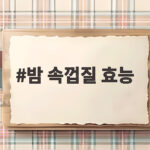 밤 속껍질 효능 알고 보니 버릴 수 없는 이유 밤 속껍질 효능