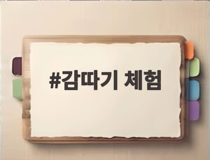 감따기 체험