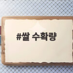 쌀 수확량을 좌우하는 벼 품종 선택과 재배 관리 비법 쌀 수확량